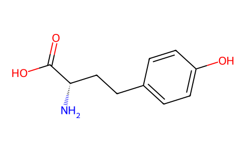 Homotyrosine, (+)- 221243-01-2